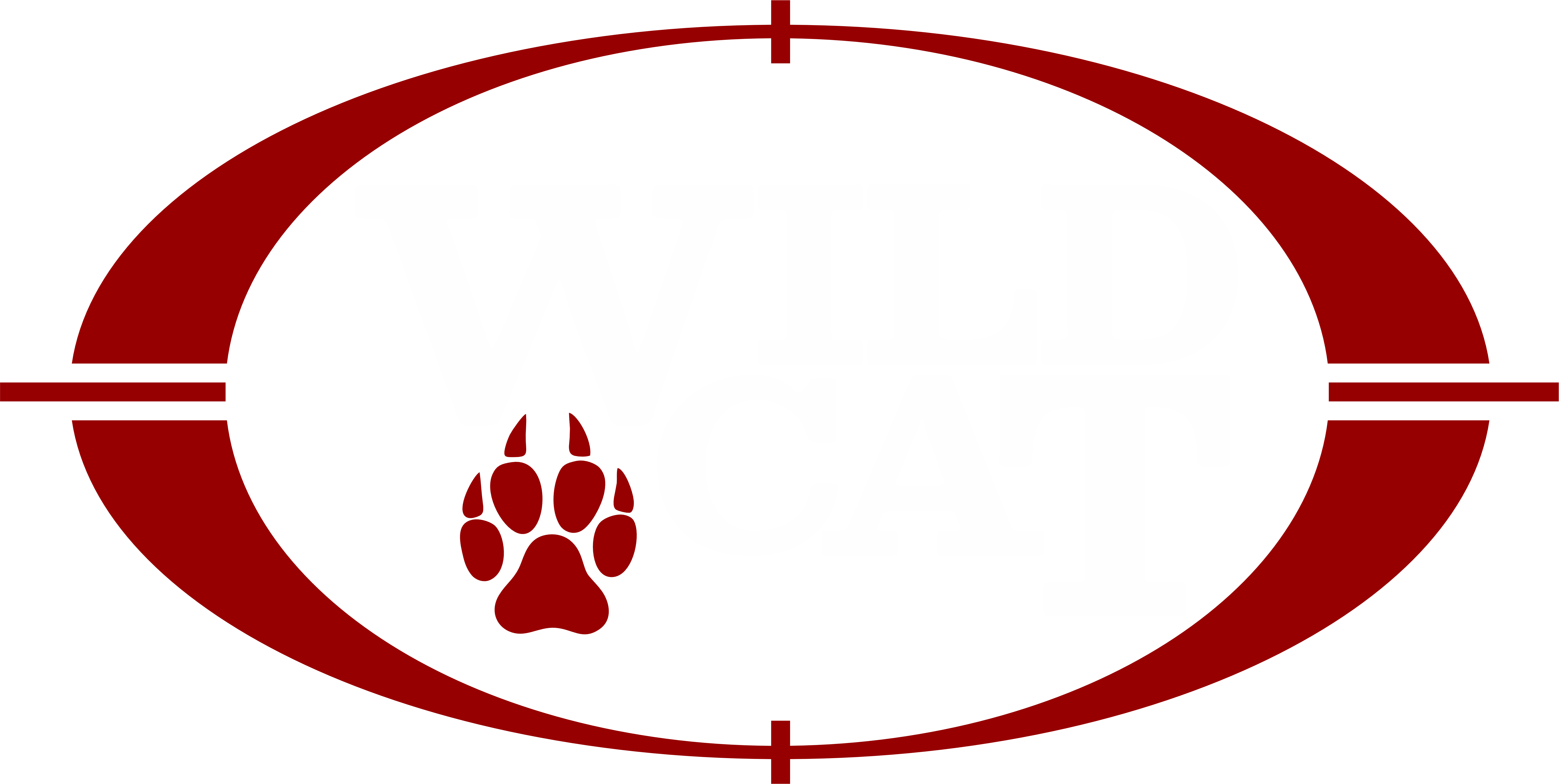 Wildcat Academy